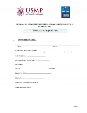 CV Modelo Multilaterales DOC