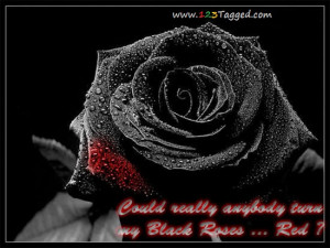 Black Roses Comments and Graphics Codes!