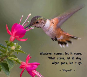 Whatever comes, let it come. What stays, let it stay. What goes, let ...