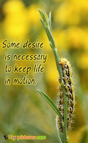 ... on Success motivational Quote on Blame Motivational Quote on Desire