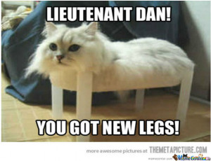 Just A Funny Forrest Gump Cat.