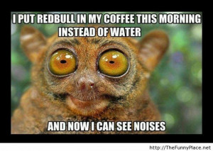 If you put redbull in coffee - Funny Pictures, Awesome Pictures, Funny ...