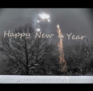 Funny quotes for New Year’s http://www.flickr.com/photos/h-k-d ...