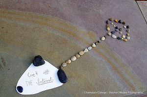 Champlain College College Final Exams Studying for Finals Final Exams ...