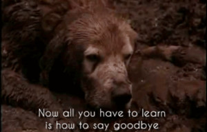 Definitive Guide To What You Were Doing When Jurassic Park Came Out ...