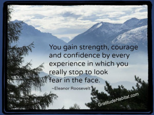 ... fear in the face. www.GratitudeHabitat.com #Eleanor-Roosevelt-quote
