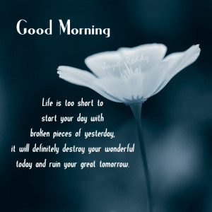 Good Morning Quote | Facebook Good Morning Status