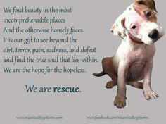WE are rescue! one of MVPC's top 10 favorite quotes! And mine about ...