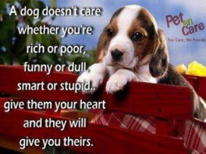 dog doesn't care whether you're rich or poor, funny or dull, smart ...