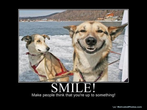Funny Inspirational Animal Quotes animal dog funny motivational