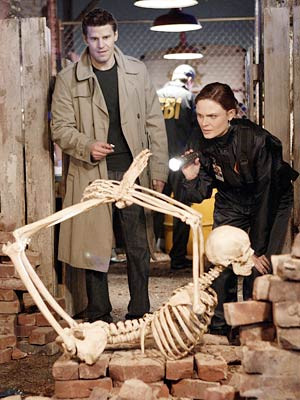 ... forensic anthropologist Dr. Temperance ''Bones'' Brennan (Emily