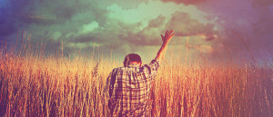 Share on facebook Share on twitter Share on email More Sharing ...