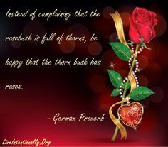 ... of thorns, be happy that the thorn bush has roses. -German proverb