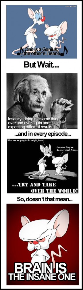 Pinky And The Brain Quotes...