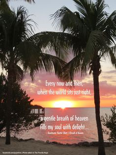 ... eyes. Photo taken in SW Florida, USA #birds #PositiveThinking #Florida