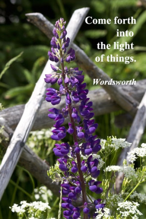 Come forth into the light of things.” -- William Wordsworth – on ...