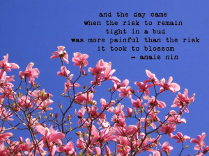 An easy one today as I knew immediately what my favourite quote was: