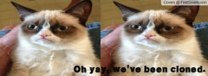 Awesome grumpy cat Profile Facebook Covers