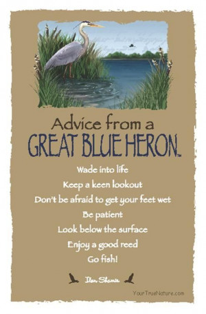 Advice From a Great Blue Heron ~:By Ilan Shamir ☆