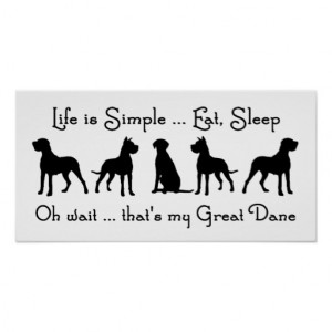 Life is Simple Eat Sleep Great Dane Humour Quote Poster