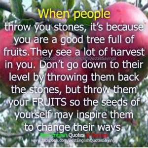 Whrn Stones Are Thrown