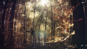 Forest Jungle Natural...