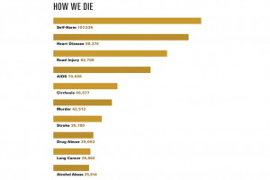 world, suicide became the leading cause of death in 2010 for people ...