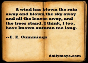 Quote: E.E. Cummings on Rain
