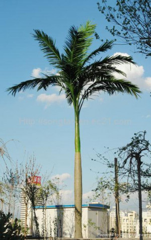 Artificial Palm Tree China