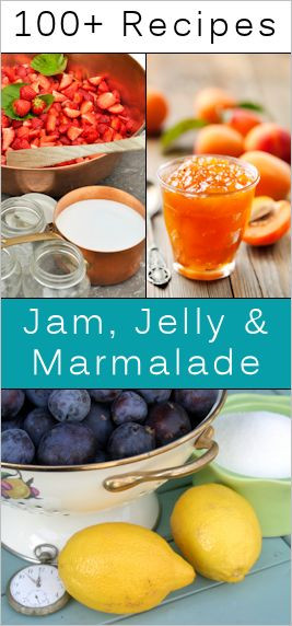100+ Homemade Jam, Jelly Marmalade Recipes