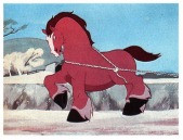 No animal shall kill any other animal without cause