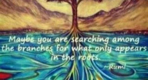 Pinned by Jodi Collins