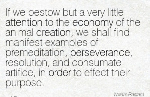 If We Bestow But A Very Little Attention To The Economy Of The Animal ...