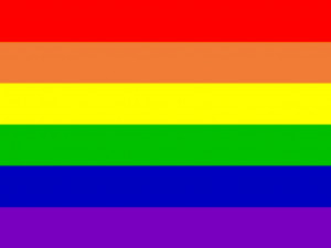 rainbow flag uploaded by kishkasayshello on Sunday, April 13, 2008