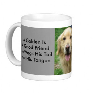 About our company & people Blog with a variety of news Forum for ...