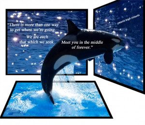 Quote Albert Orcas Whales