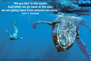 Ocean Quotes Tumblr