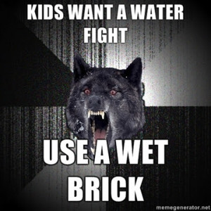 Insanity Wolf Water Fight