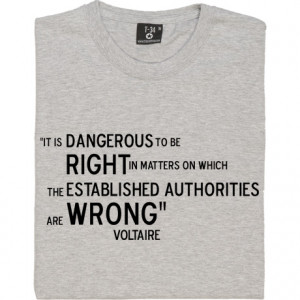 voltaire-right-and-wrong-tshirt_design.jpg