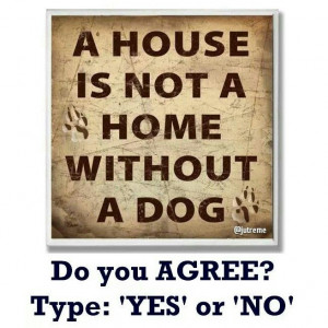 house is not a home without a dog