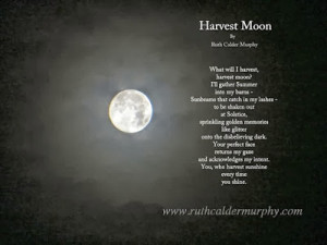 harvest moon what will i harvest harvest moon i ll