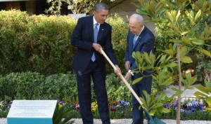 President Barack Obama and President Shimon Peres plant a tree during ...