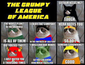 Image of the Day: Justice League + Grumpy Cat = 7 hilariously grumpy ...