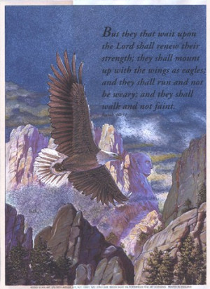 Freedom) Eagle in Flight ~ Fine-Art Print