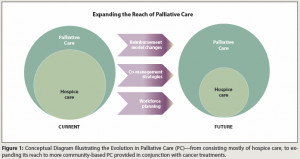 The Need for Community-Based Palliative Care for Patients Living With ...