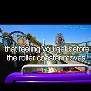 Butterflies! I love roller coasters....