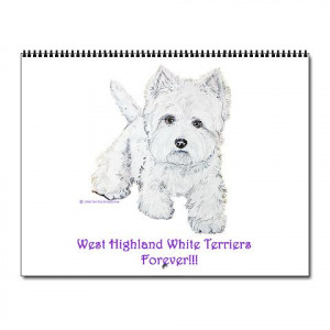 ... description funny quotes like funny eye trick pictures funny quotes