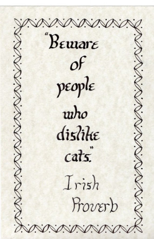 Of People Who Dislike Cats. Custom Order Calligraphy Quote--Irish ...