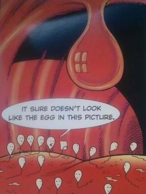 Man Receives Oral Sex, Ordered to Pay Child Support