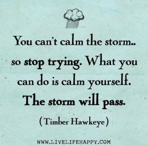 storm... so stop trying. What you can do is calm yourself. The storm ...